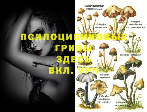 прущая мука Абаза